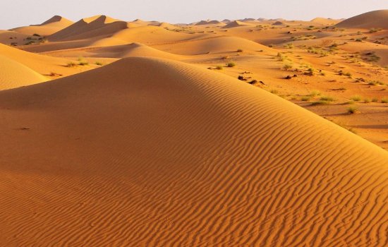 Middle Eastern Adventures