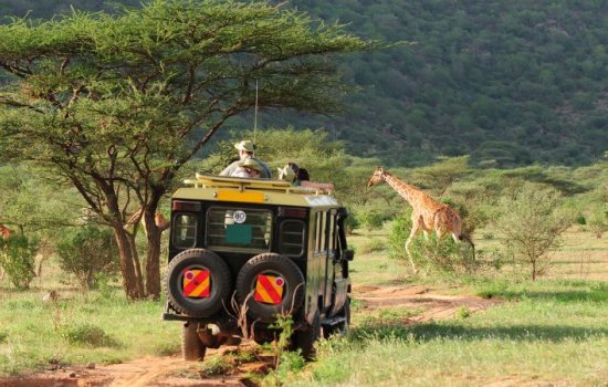 Safari and Beach Escapes