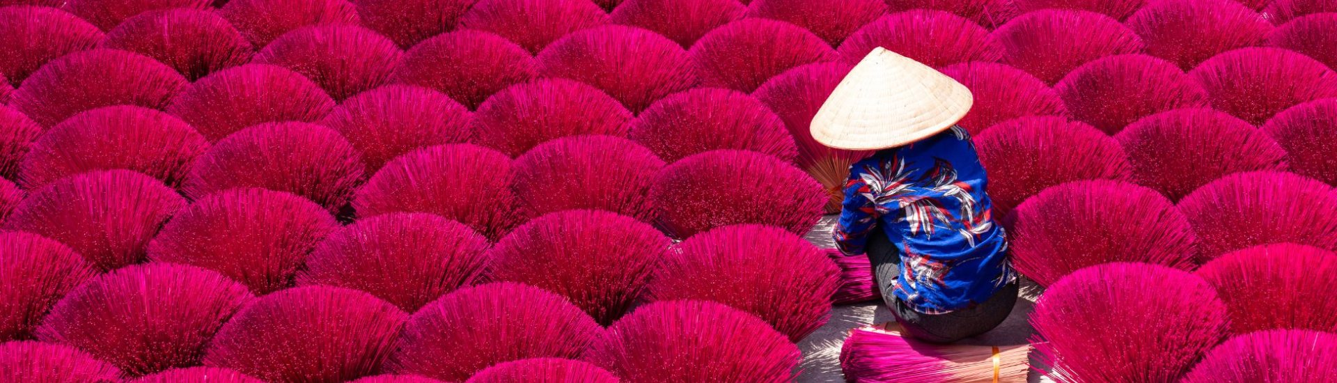 Vietnam lady in fields