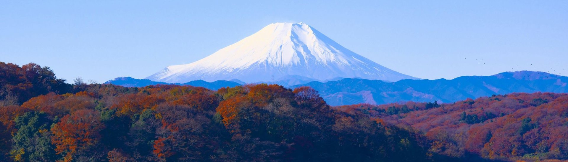 Mount Fuji