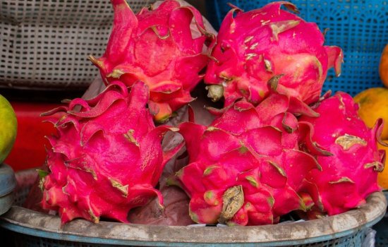 Dragon Fruit