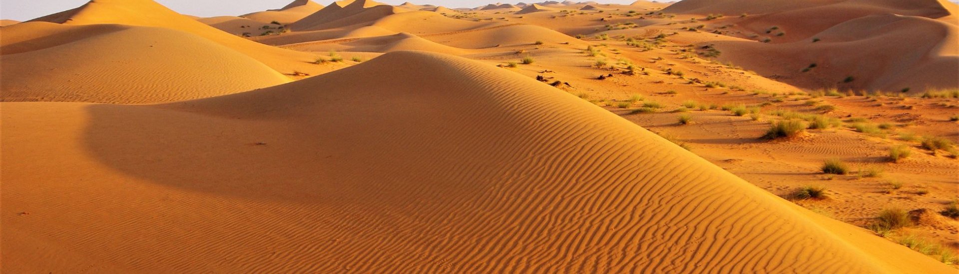 Sand Dunes in Wadi Rum