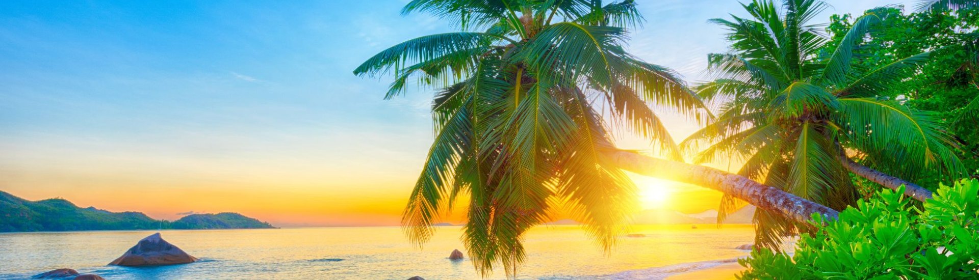 Palm fringed beach in the Seychelles