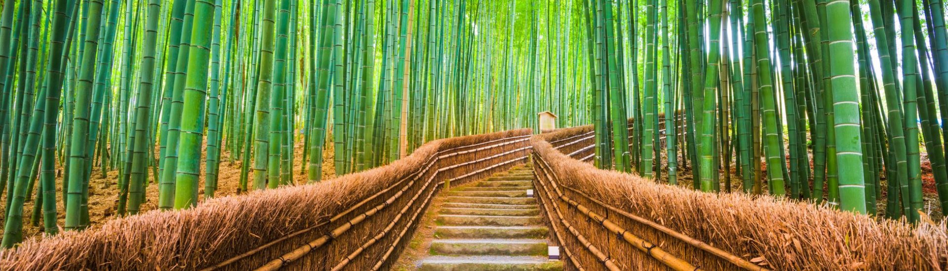 Ayrashima bamboo forest, Kyoto