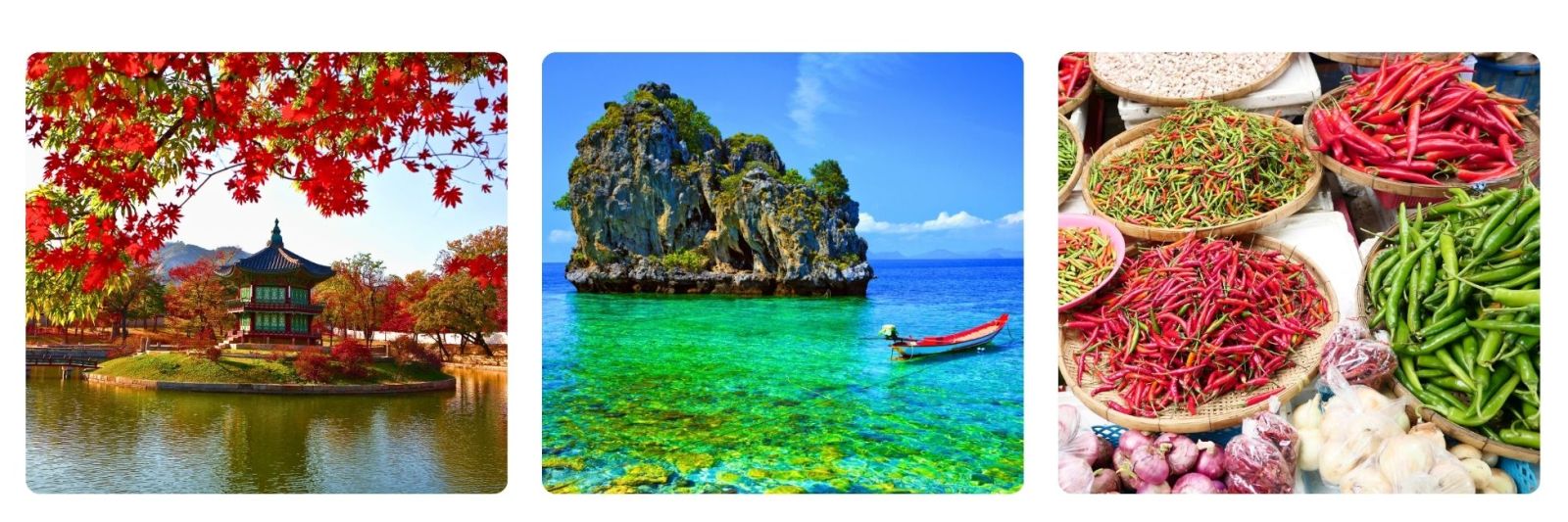 Photo of japanese temple, photo of thailand boat and island, photo of chillis