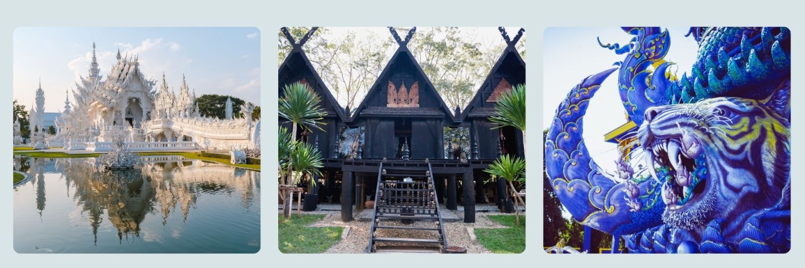 photos of white temple, black house museum and blue temple, Chiang Rai