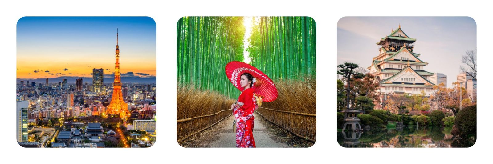 photos of the Tokyo skyline at night, geisha in the bamboo forest, Kyoto and Osaka castle in cherry blossom season