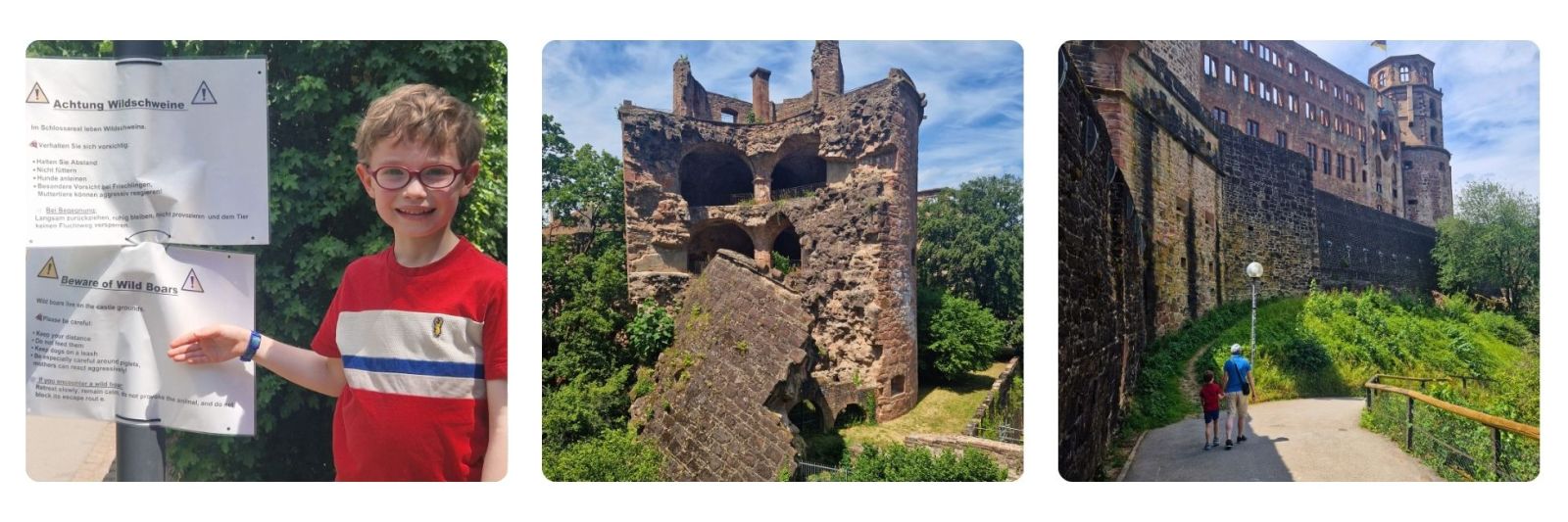 Photos of Heidelburg Castle and back entrance