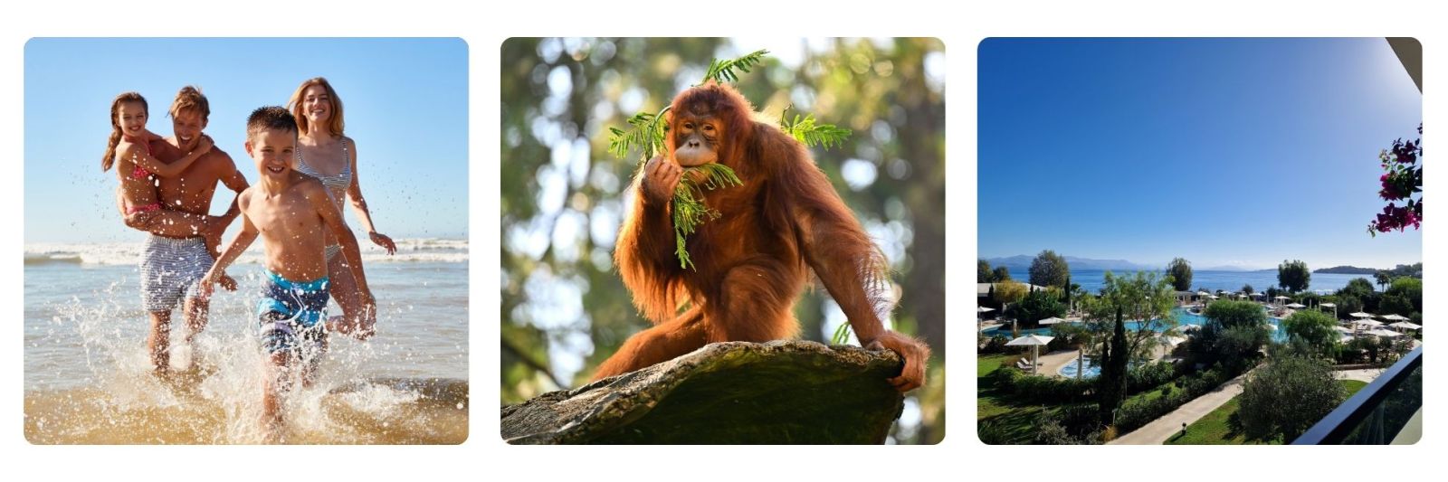 photos of family on holiday, Borneo and Greek resort