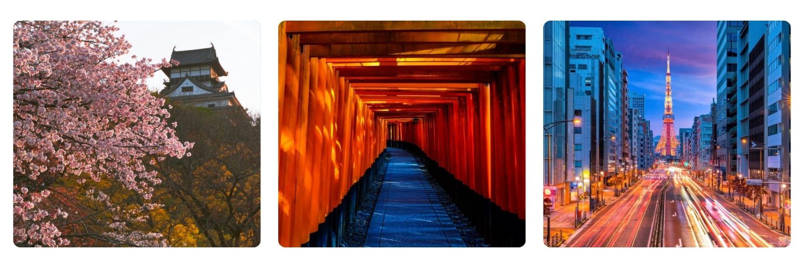 Photo of Hiroshima castle in cherry blossom, photo of torri gates, photo of Tokyo at night