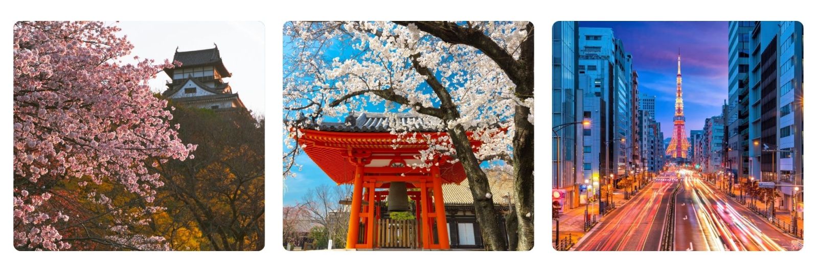 tailor made holiday to Japan - hiroshima castle, torri gate in cherry blossom and Tokyo at night