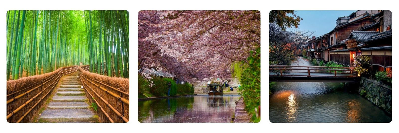 tailor made holiday to Japan, bamboo forest, Hiroshima in cherry blossom and Kyoto Geisha district at night
