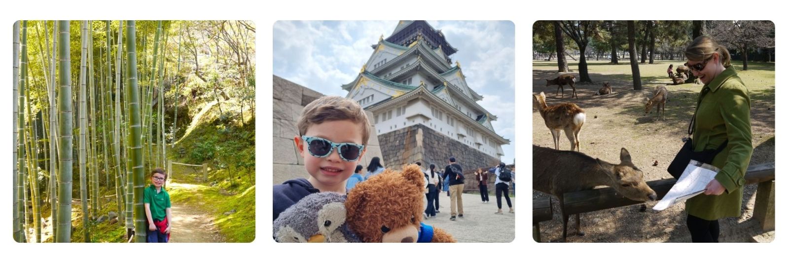 Family exploring Arashiyama bamboo forest, family at Osaka castle, Japan, family feeding the deer at Nara, Japan