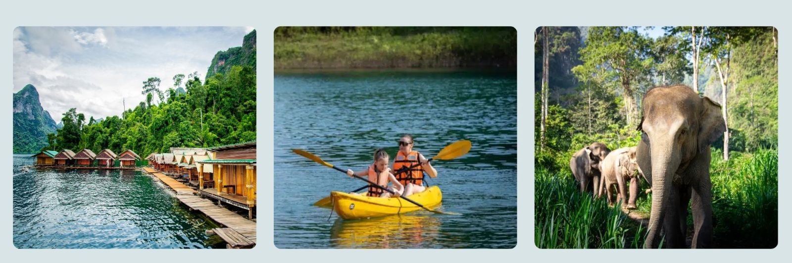 photos of Khao Sok Lake and elephants, and family kayaking