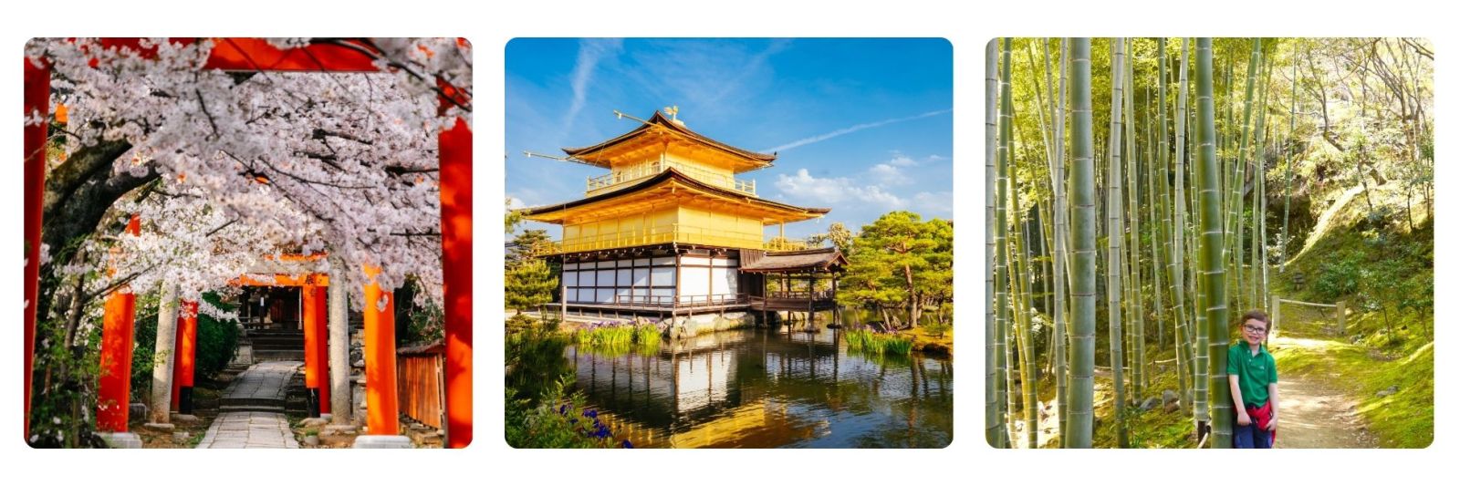photos of Fushimi Inari in Cherry blossom, the Golden Pavillion in spring, Arashiyama in Spring with a child leaning against a bamboo