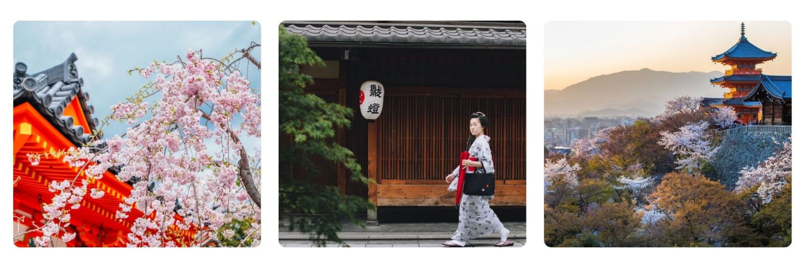 Photo of temple in cherry blossom season, Geisha walking in traditional Kyoto street, Kyoto hillside temple