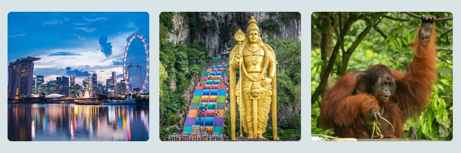 photos of singapore skyline at night, Battu caves, orangutang