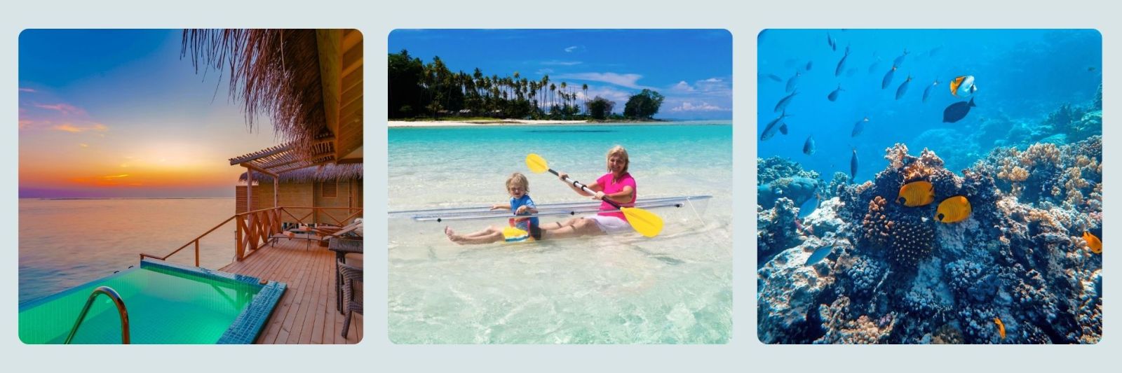 photos of private pool in over the sea villa, a family kayaking in the blue waters and tropical fish