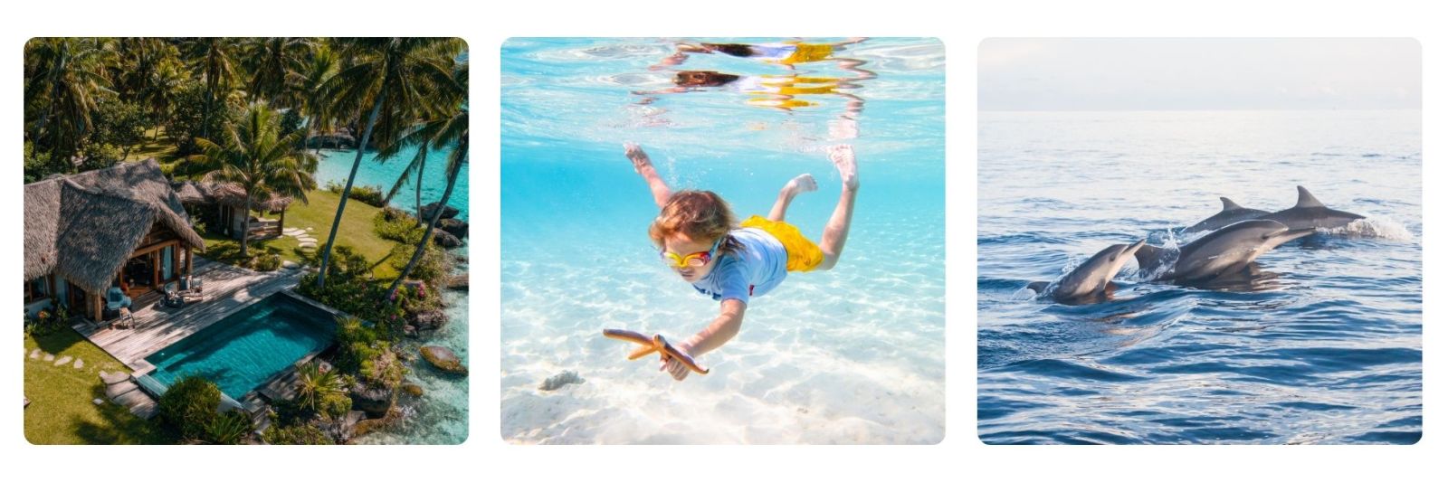 Beach villa in the Maldives with private pool, child swiming under water in the Maldives, dophins in the Maldives