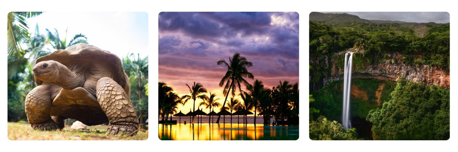photos of Mauritius - giant turtle beach at night and waterfall.