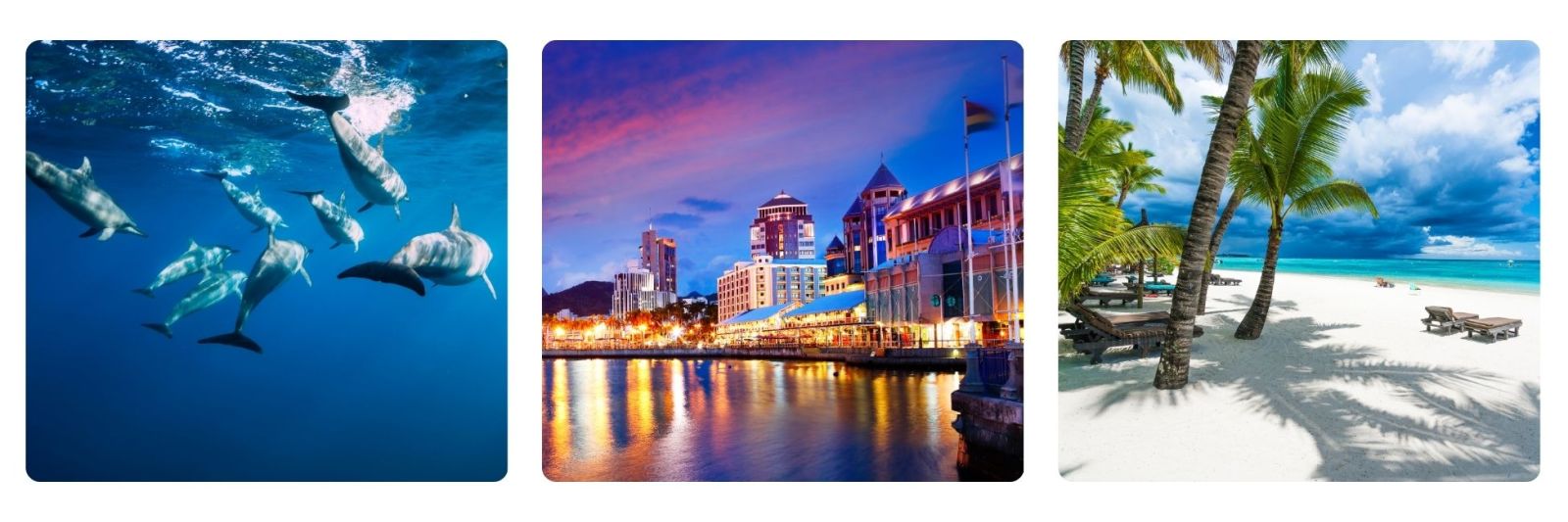 Photo of dolphins in Mauritius, Mauritius town at night, palm fringed beach in Mauritius