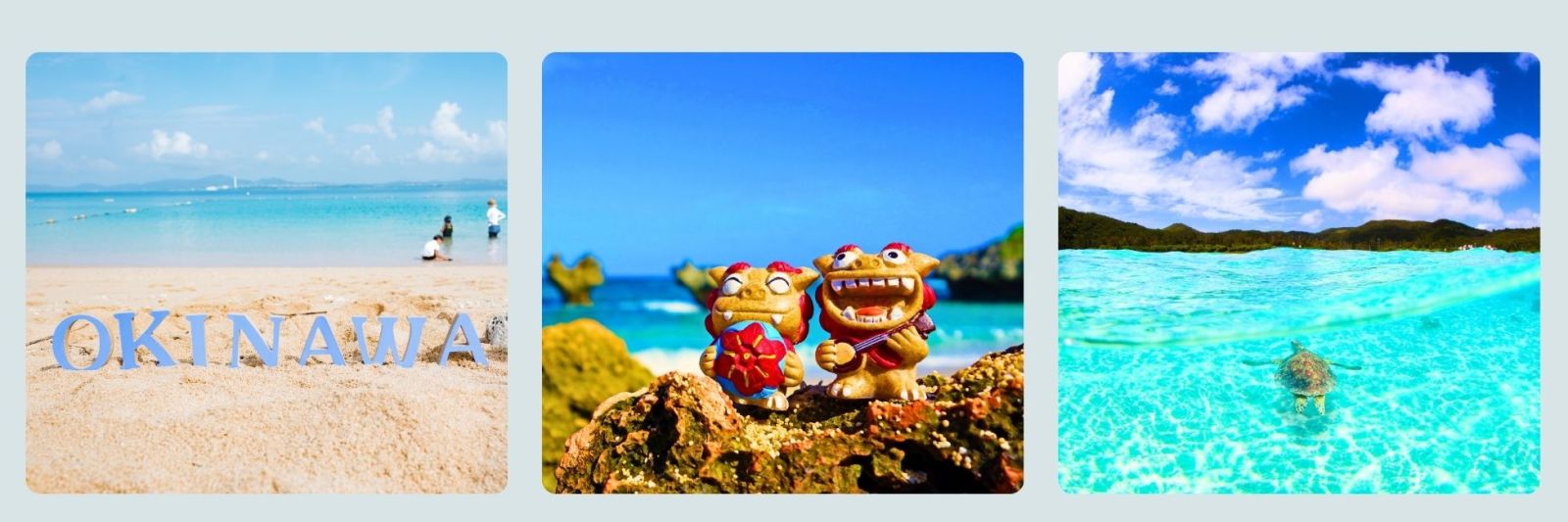 photo of sign of okinawa, beach and a turtle swimming