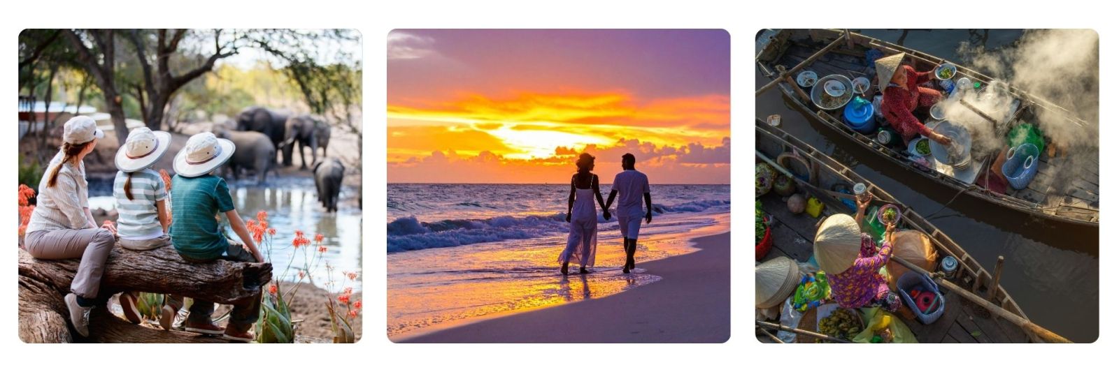family looking at elephants on Safari, couple walking on white sandy beach at sunset, photo of floating market in Vietnam.