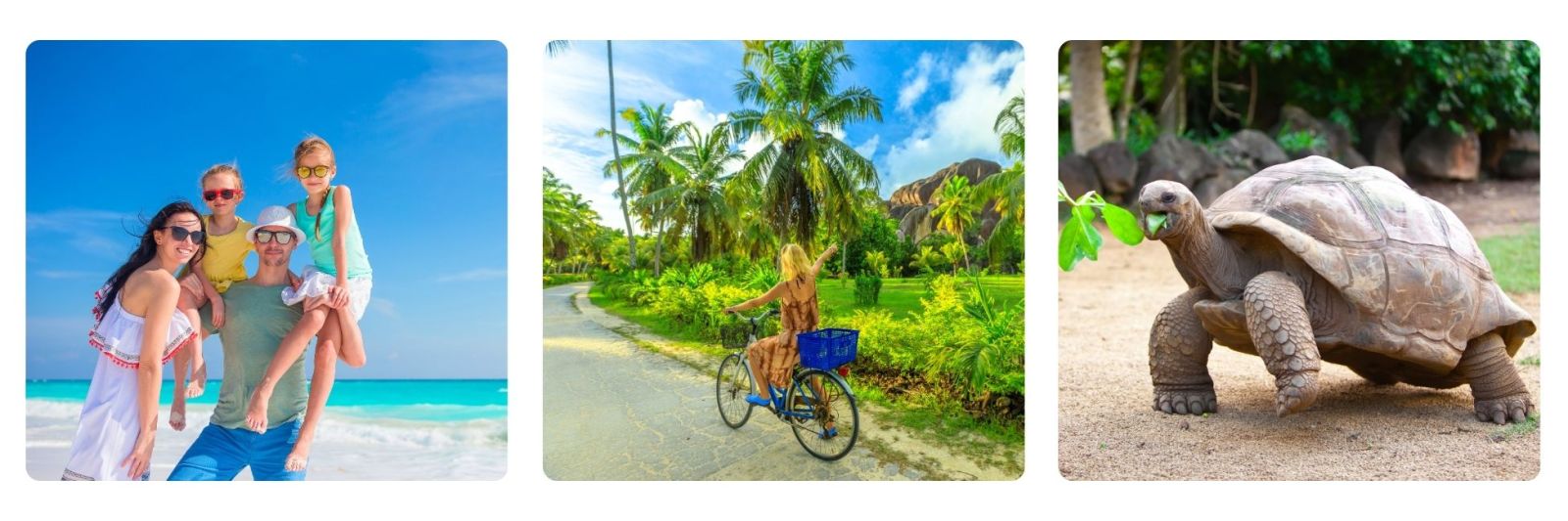 Family playing on beach in the Seychelles, lady on bicycle in Le Digue, giant tortoise eating leaf in Seychelles