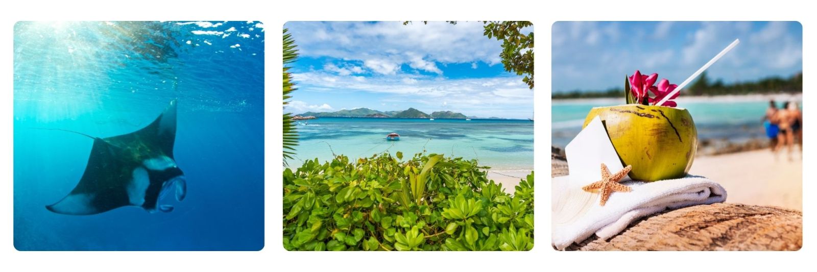 Photo of Seychelles - sting ray, and beach