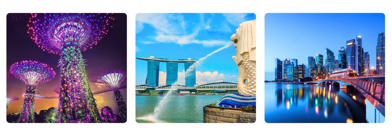 Singapore skygarden at night, Singapore Marina Bay hotel, Singapore skyline at night