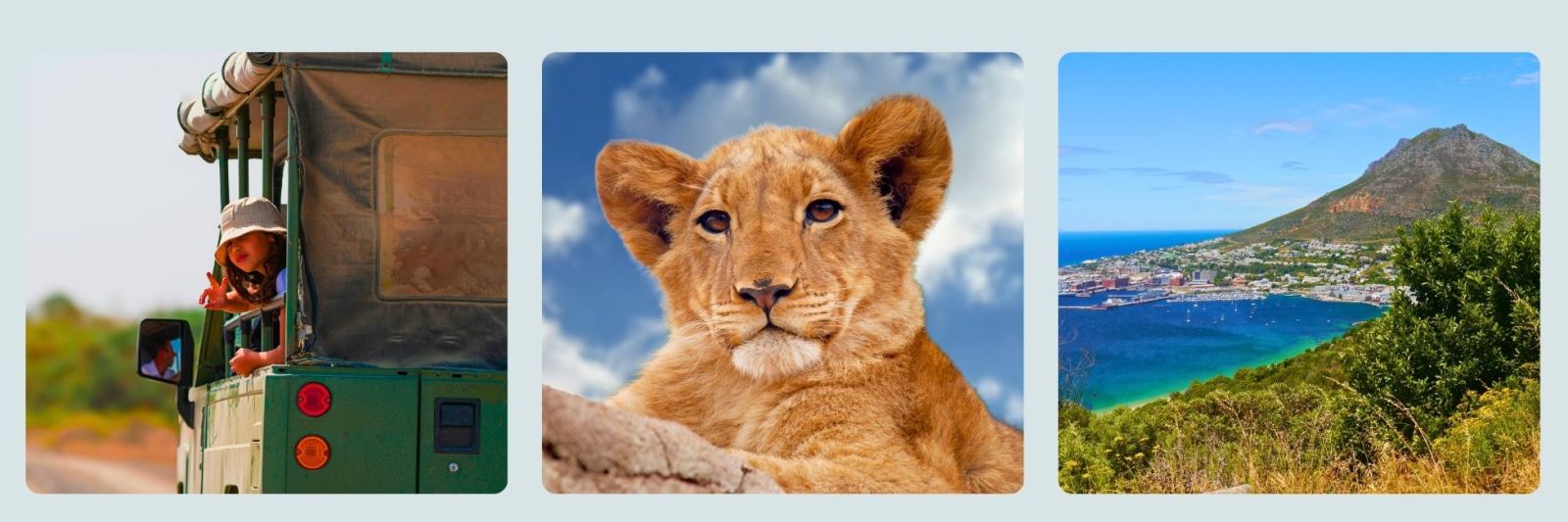 photo of children in safari jeep, a lion cub and cape town coastline.