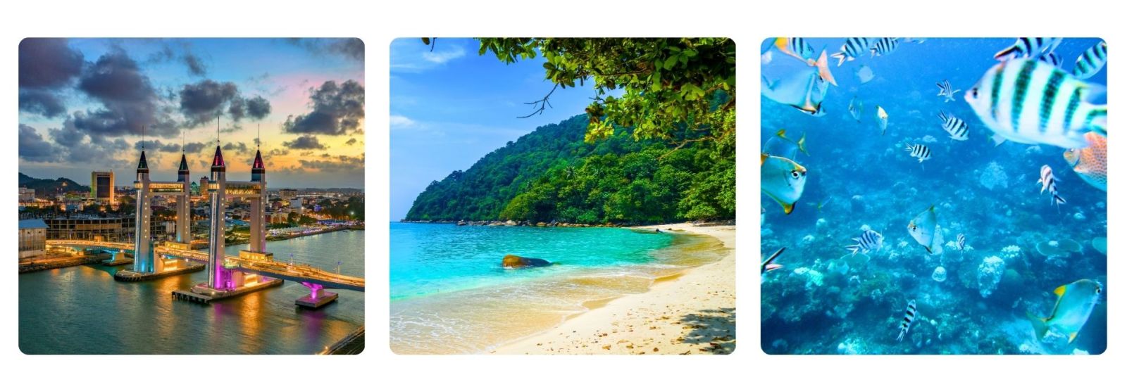 Terengganu architecture and beach, tropical fish