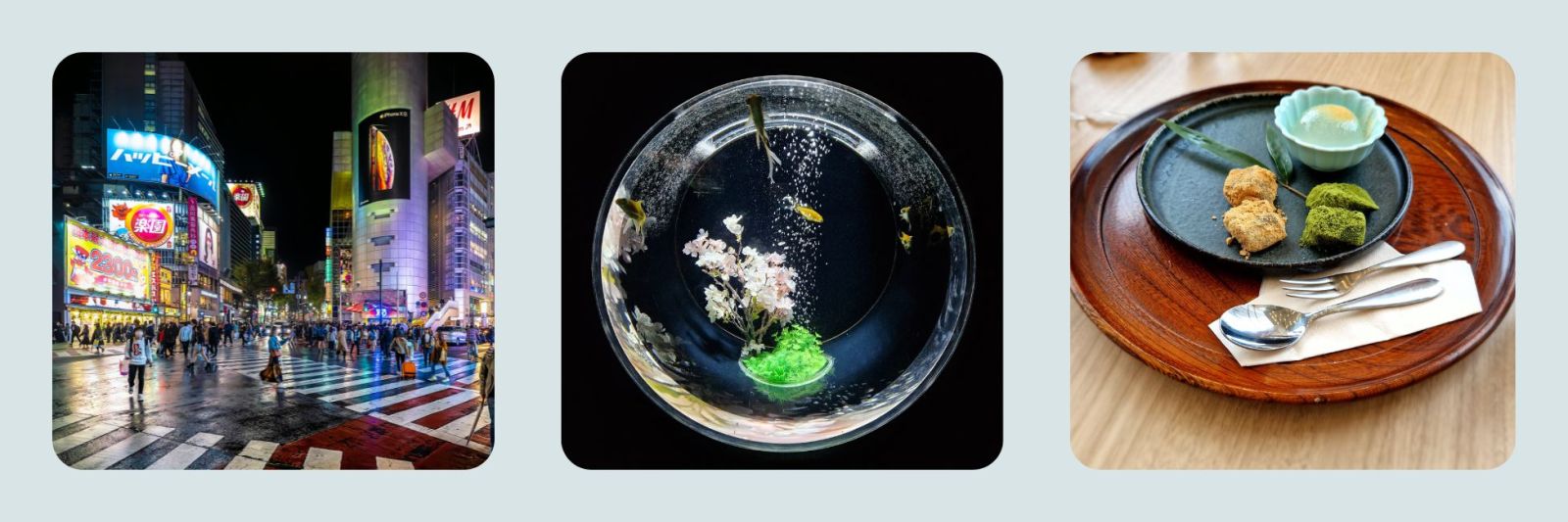 Photo of Shibuya crossing, Tokyo, Japanese food and Japanese fish