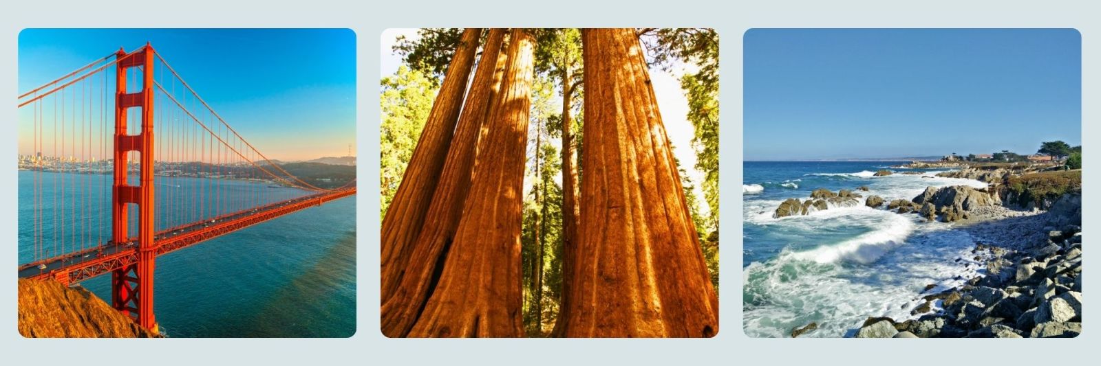 photo of the golden gate, San Francisco, redwood trees, the big sur
