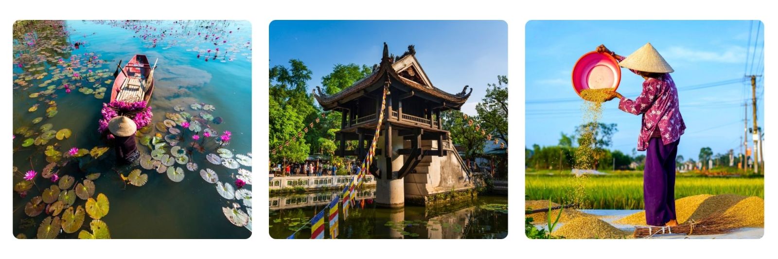 Photo of lady and boat in Mekong, temple in Hanoi, vietnamese lady in rice field